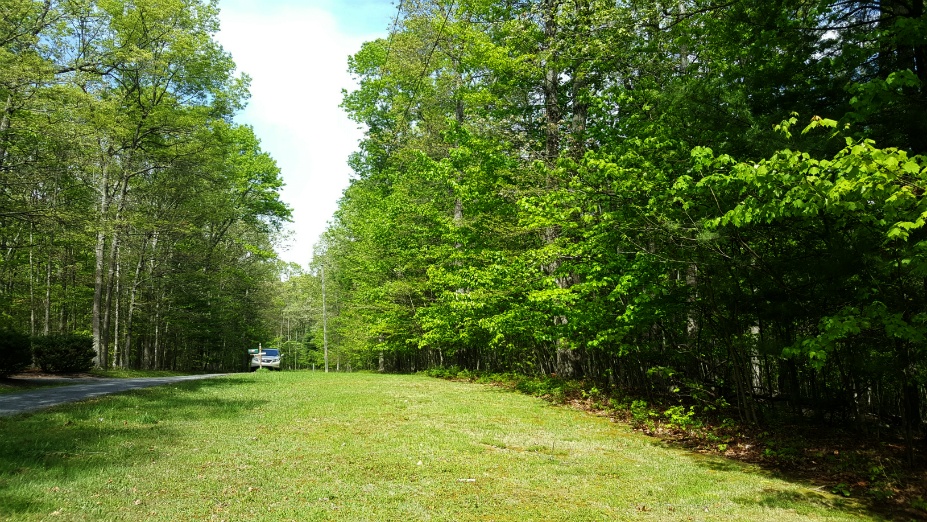 Lewisburg Land for Sale, 5 Acres