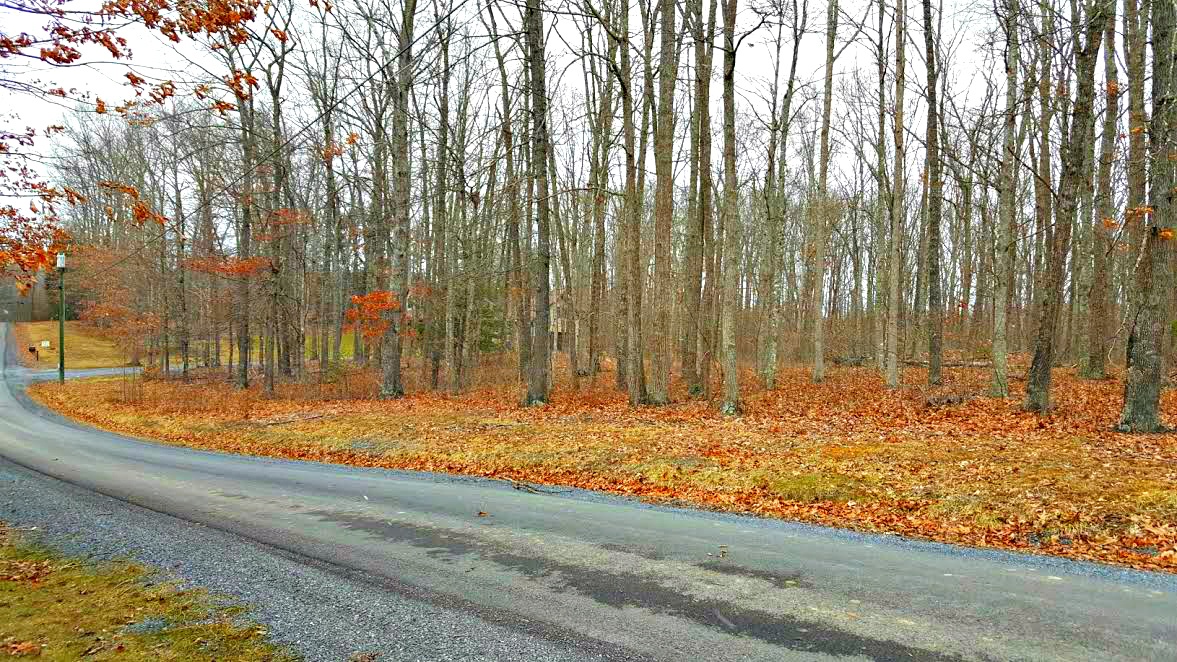 Garry Huffman Lot Lewisburg WV Homes for Sale Rebecca Gaujot 304