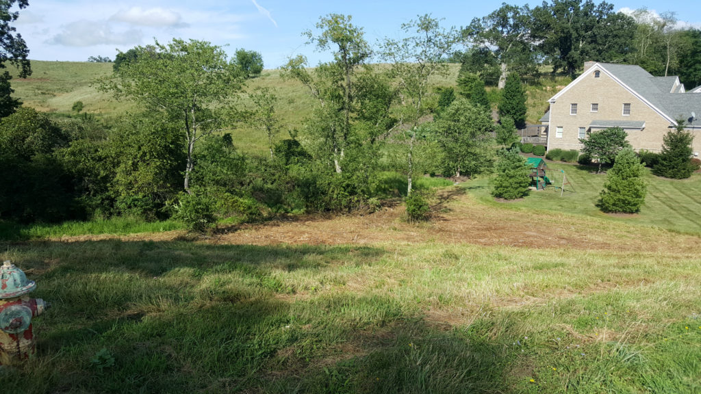 Land For Sale Near Lewisburg Wv