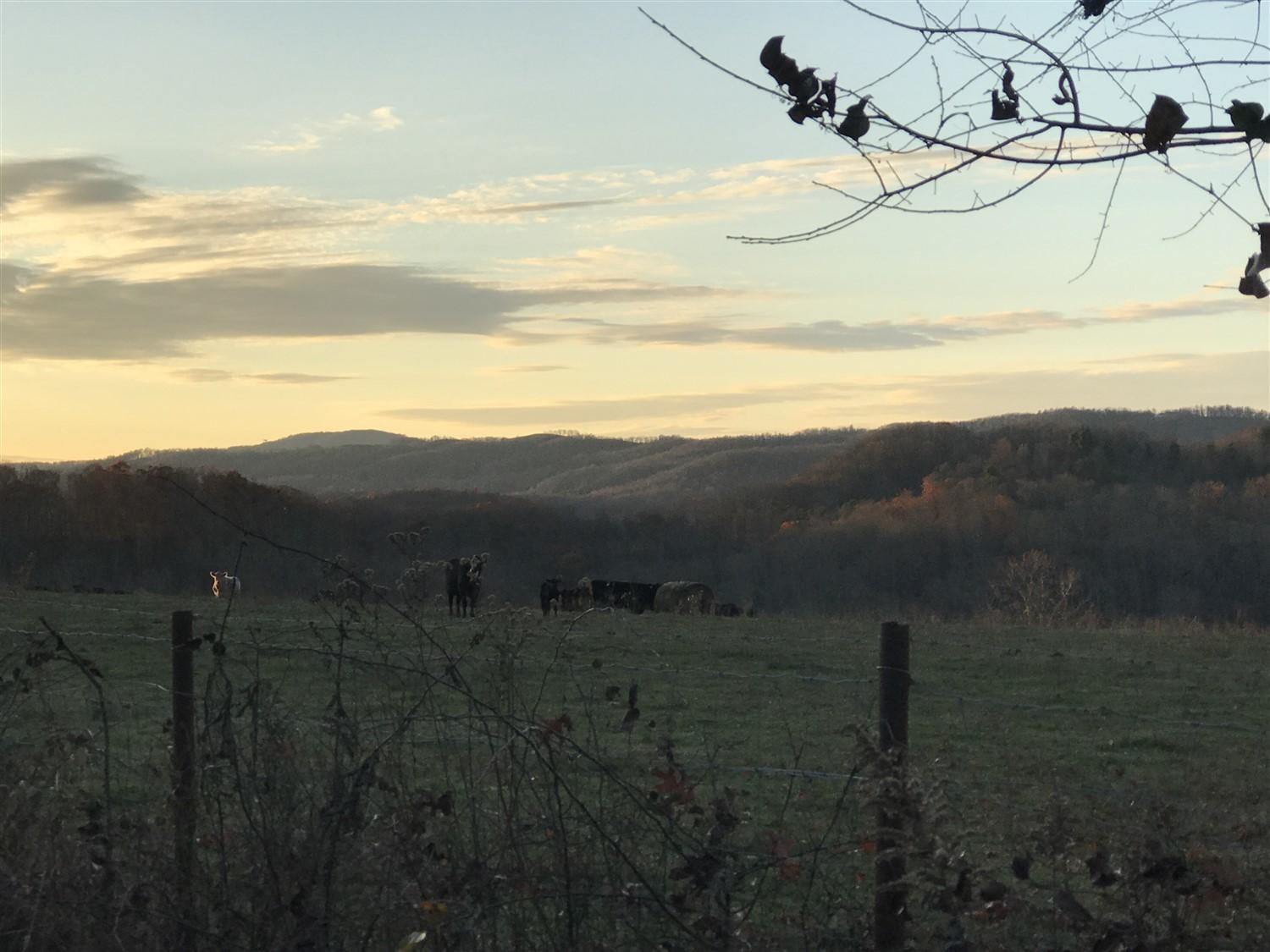 views property for sale in Smoot WV