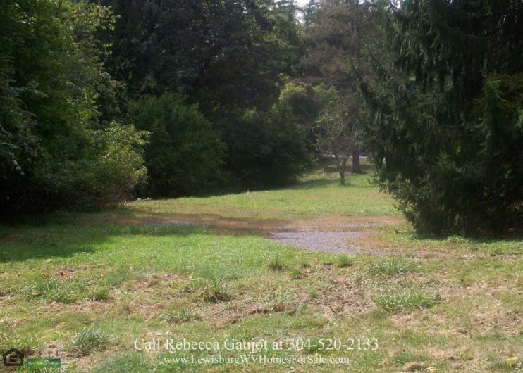 houses for sale ona wv