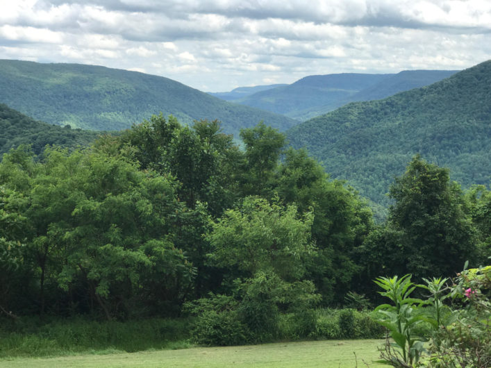 Another House Sold & Closed 273 Redtail Ln, Hambleton WV Lewisburg