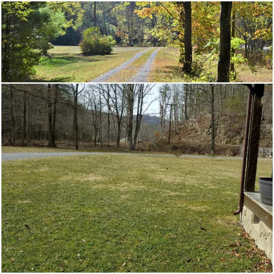 SOLD 1Bedroom Log Cabin on 11+ Acres, White Sulphur Springs, WV