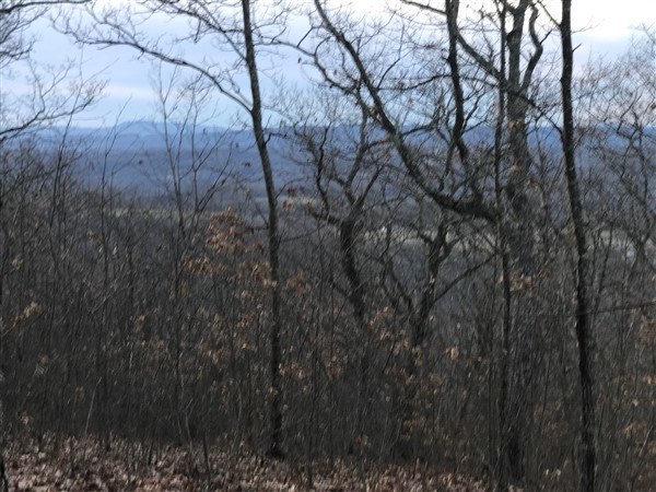 building lot 62 for sale at the Retreat