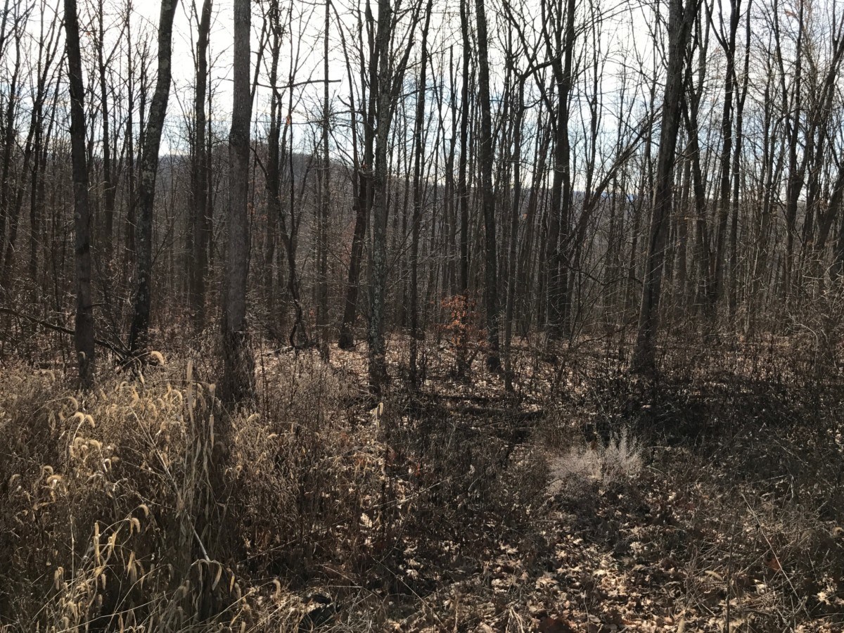 47+ Acres For Sale, Greenbrier at Overlook, Caldwell WV Lewisburg WV