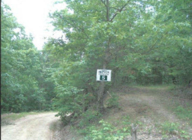 lot-5-photo