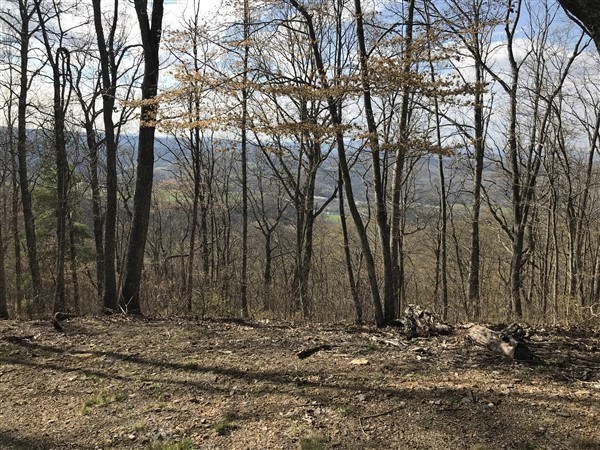 main lot 27